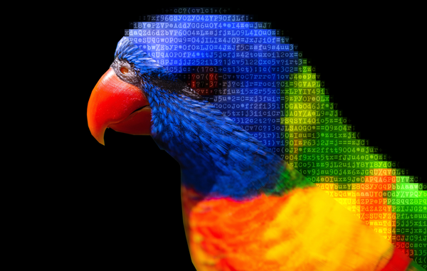 How to Give your Pictures a Geeky Touch with ASCII Art (and Python)
